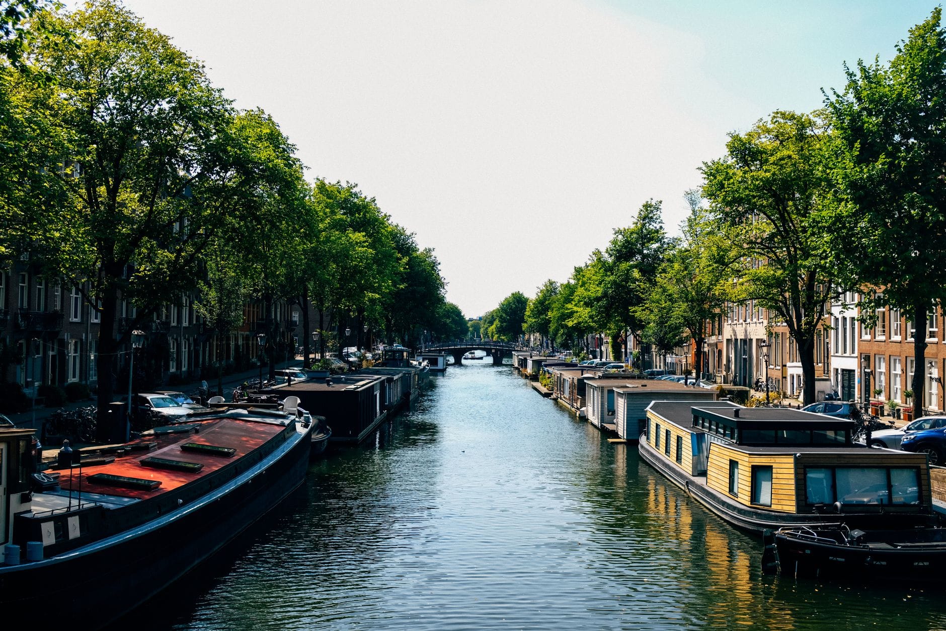 Kanał w Amsterdamie z barkami mieszkalnymi i zielonymi drzewami