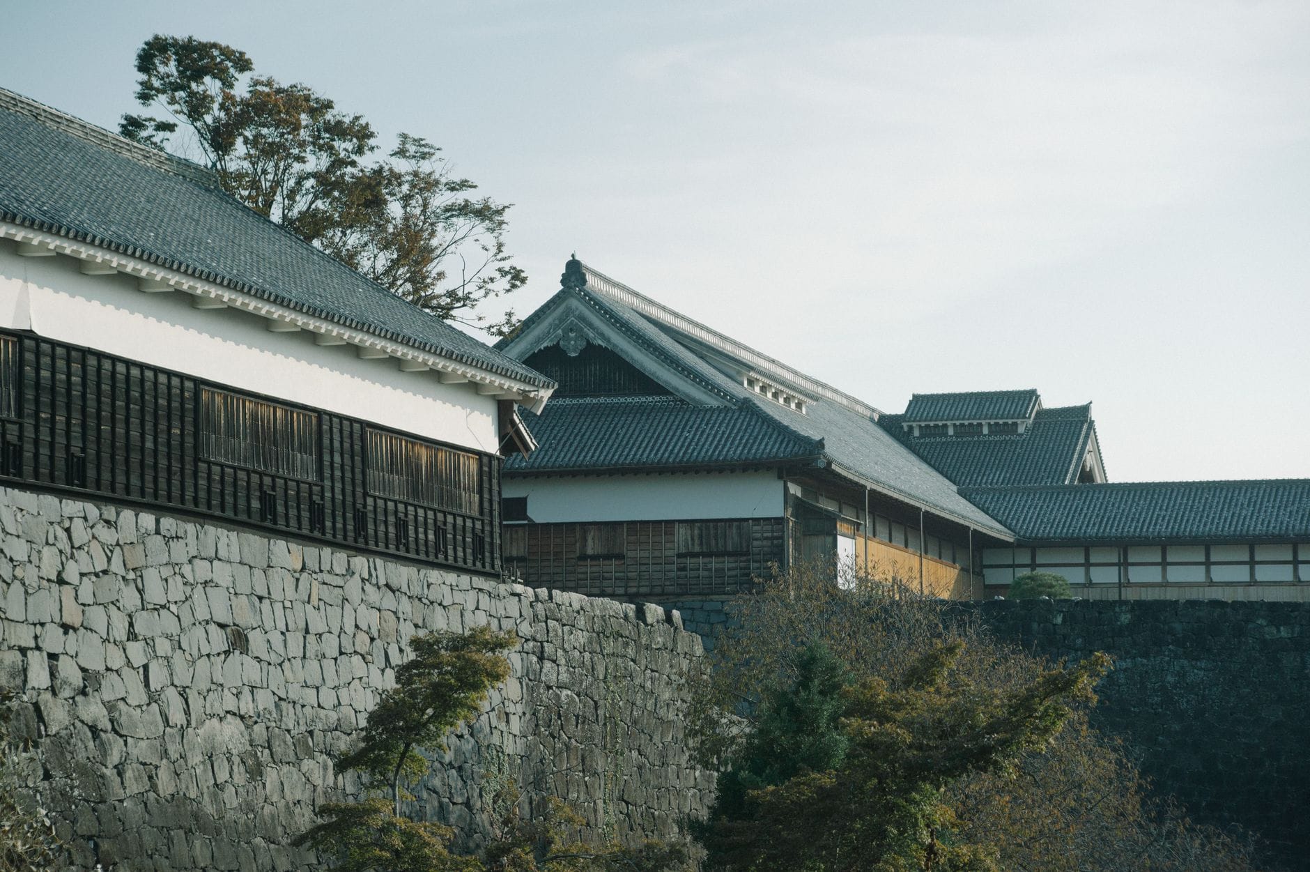 Tradycyjny japoński zamek na kamiennych murach w Japonii